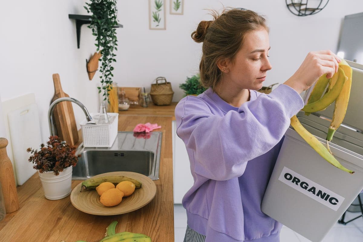 Food scraps in a kitchen caddy beside a sink