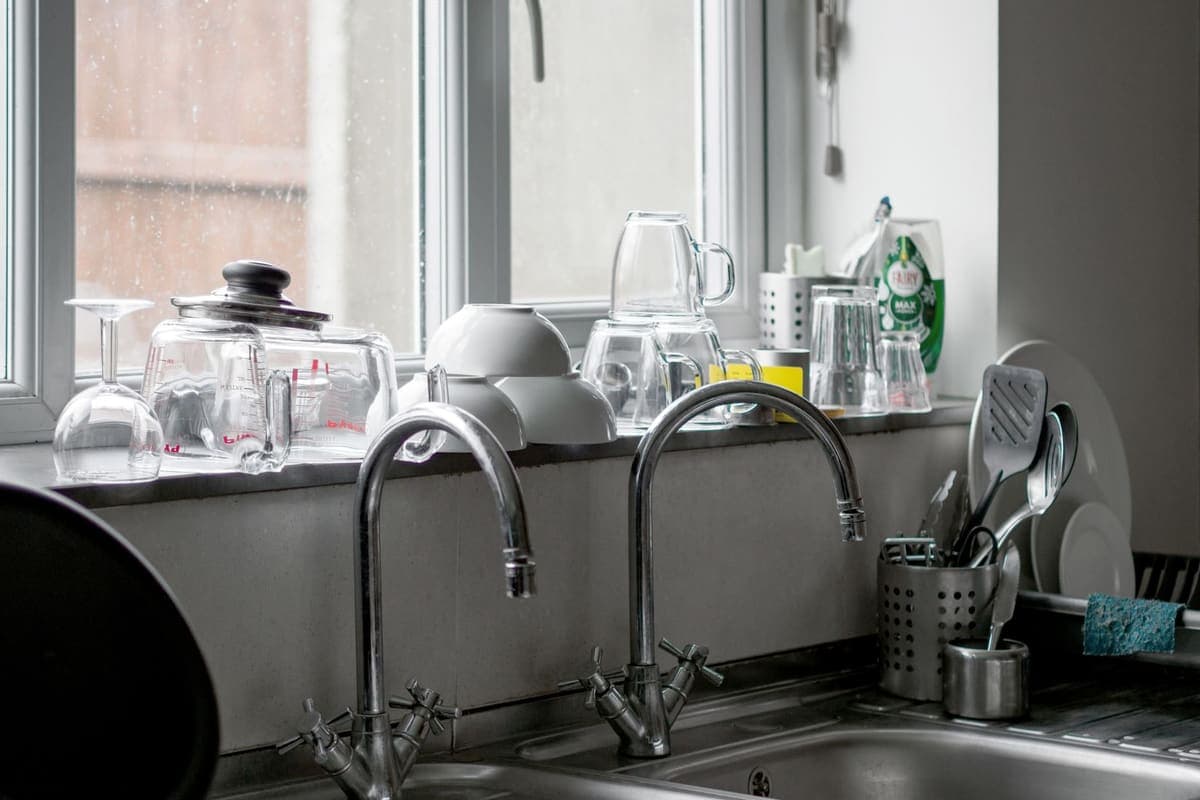 Two kitchen faucets side by side above a stainless steel sink